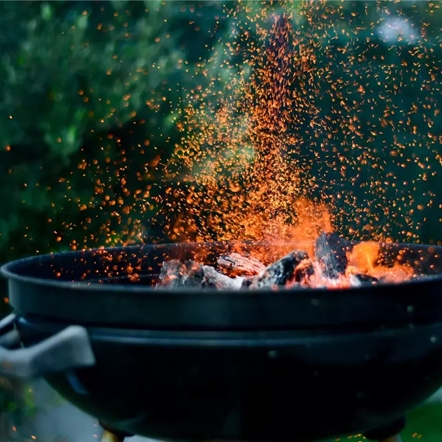 Barbecue fires