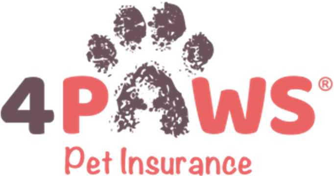 4 Paws
